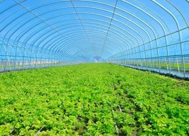 greenhouse film greenhouse film